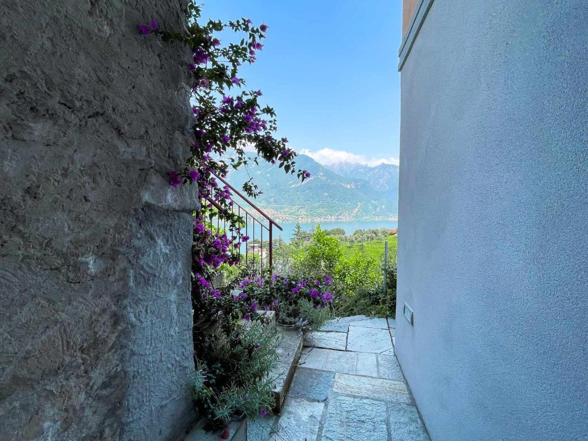 Antico Torchio Apartment Limonta Extérieur photo